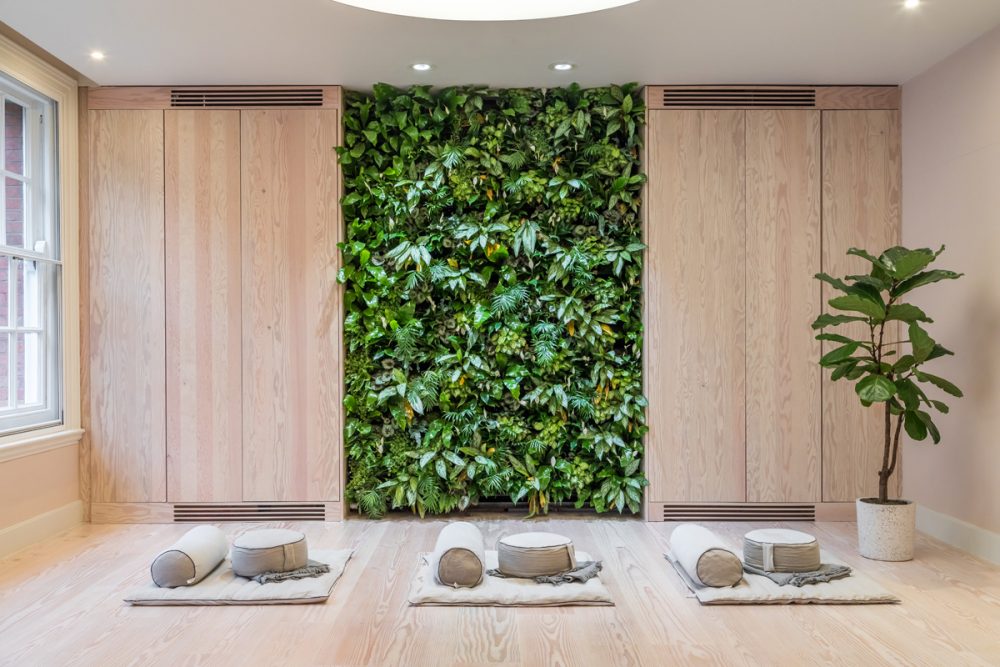 Biophilic design for Mind Meditation Studio by Oliver Heath Design
